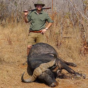 Cape Buffalo Hunt Zimbabwe