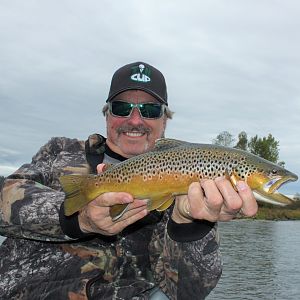 Brown Trout Fishing Western Montana USA