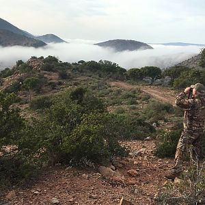 Hunt Eland in South Africa