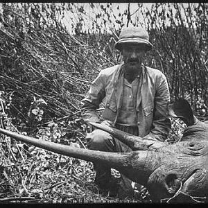 German East Africa Hunt Rhino