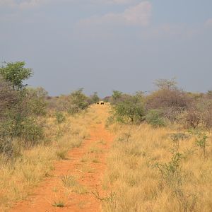 Hunting in Namibia