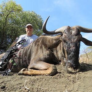 Bow Hunt Blue Wildebeest in South Africa