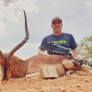 Impala Bow Hunt South Africa