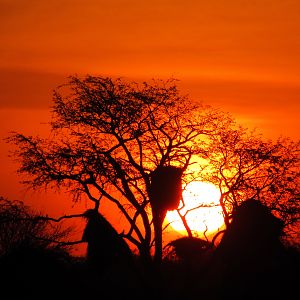 Sunset in Namibia