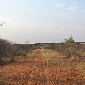 Hunting in Namibia