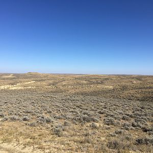 Hunt Deer & Pronghorn in Wyoming USA