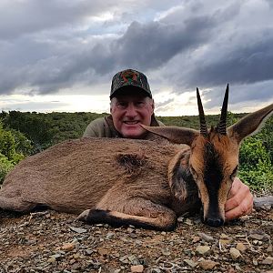 Hunt Duiker in South Africa