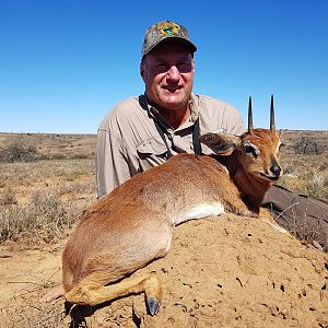 Steenbok Hunting South Africa