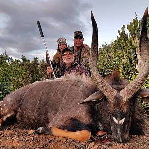 South Africa Hunting Nyala