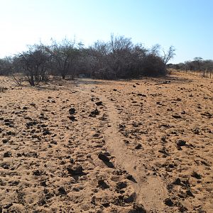 Namibia Landscape