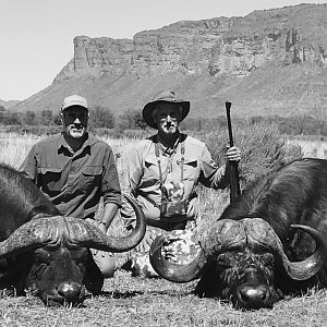 Hunt Buffalo in South Africa