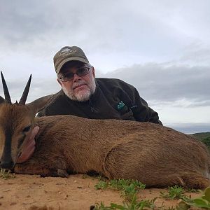 Hunt Duiker in South Africa