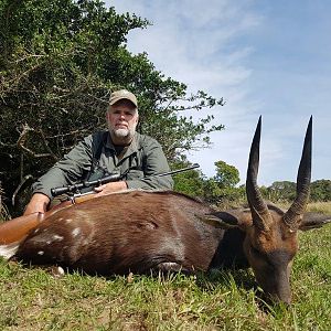 South Africa Hunting Bushbuck