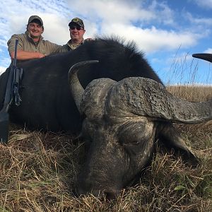 Cape Buffalo Hunting South Africa | AfricaHunting.com