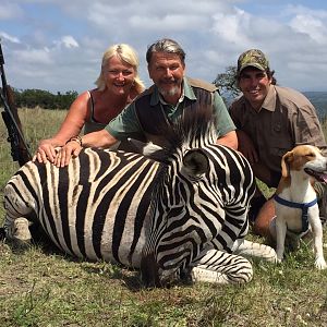 Burchell's Plain Zebra Hunt South Africa