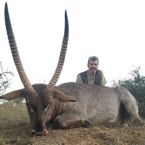 Waterbuck Hunting South Africa