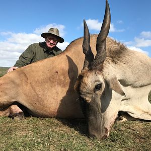 Hunt Eland in South Africa