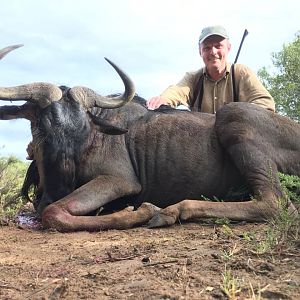 Blue Wildebeest Hunting South Africa