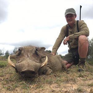 Hunt Warthog in South Africa