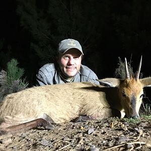 Hunting Duiker in South Africa