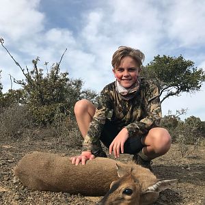 Female Duiker Hunt South Africa