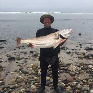 Fishing Silver Kob in Namibia