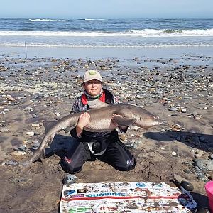 Fishing Spotted Gully Shark in Namibia
