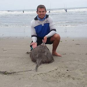 Fishing Bullray Sand Shark in Namibia