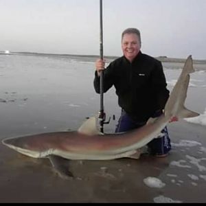 Bronze Whaler Shark Fishing Namibia