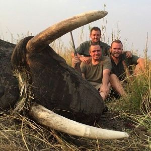 Namibia Hunting Elephant