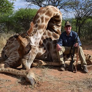 Giraffe Hunt Namibia