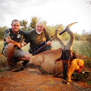 Namibia Hunt Red Hartebeest