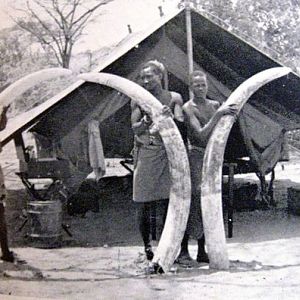 Big Game Hunting Kenya 1958