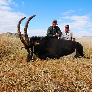 South Africa Hunt Sable Antelope