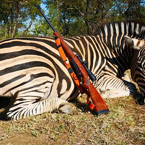 Hunting Burchell's Plain Zebra in South Africa