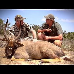 Nyala Hunt South Africa