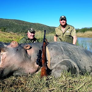 Hunt Hippo in South Africa