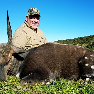 South Africa Hunt Bushbuck