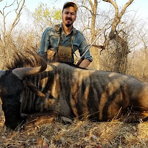 Hunt Blue Wildebeest in South Africa