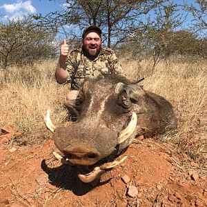 Hunting Warthog in South Africa