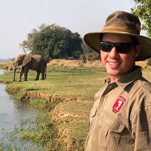 Elephants in Zimbabwe