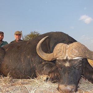 South Africa Hunting Cape Buffalo