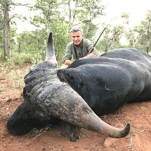 Cape Buffalo Hunt South Africa