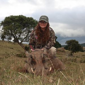 Warthog Hunt South Africa