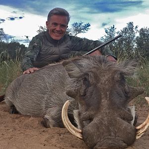 South Africa Hunt Warthog