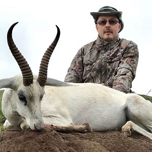 South Africa Hunt White Springbok