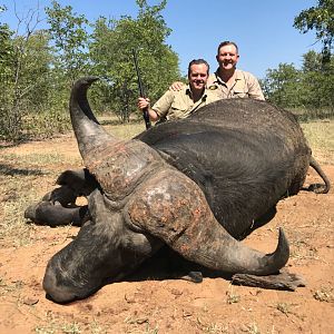 Cape Buffalo Hunt South Africa