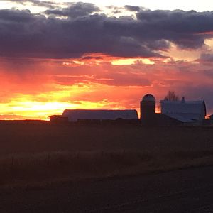 Sunset in farm country