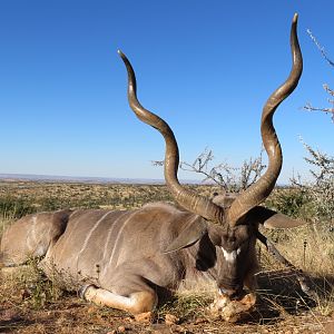 Namibia Hunt Kudu