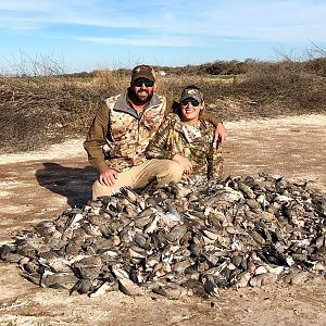 Argentina Wingshooting Doves